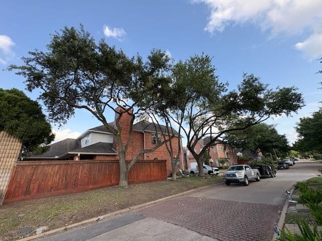 Gallery photos for Transforming Houston with Expert Tree Trimming: Image #2