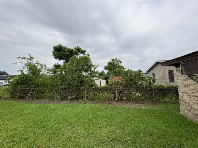 Gallery photos for Houston Backyard Revamp by I&B Tree Service: Image #1