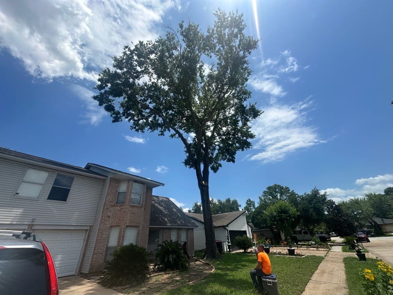 Gallery photos for Houston Tree Trimming for Clear Skies and Views: Image #1