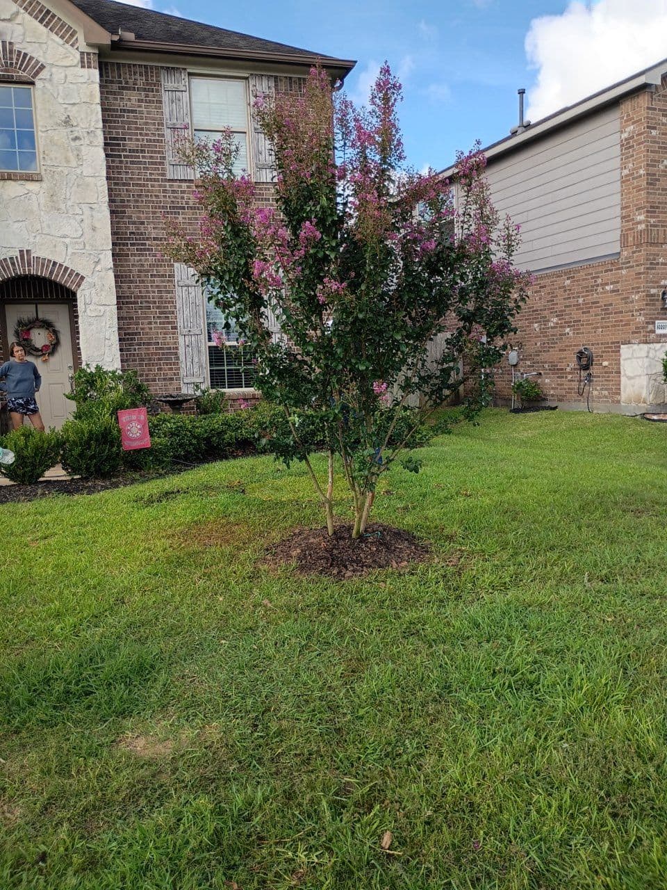 Brookshire Tree Transformation Success Story