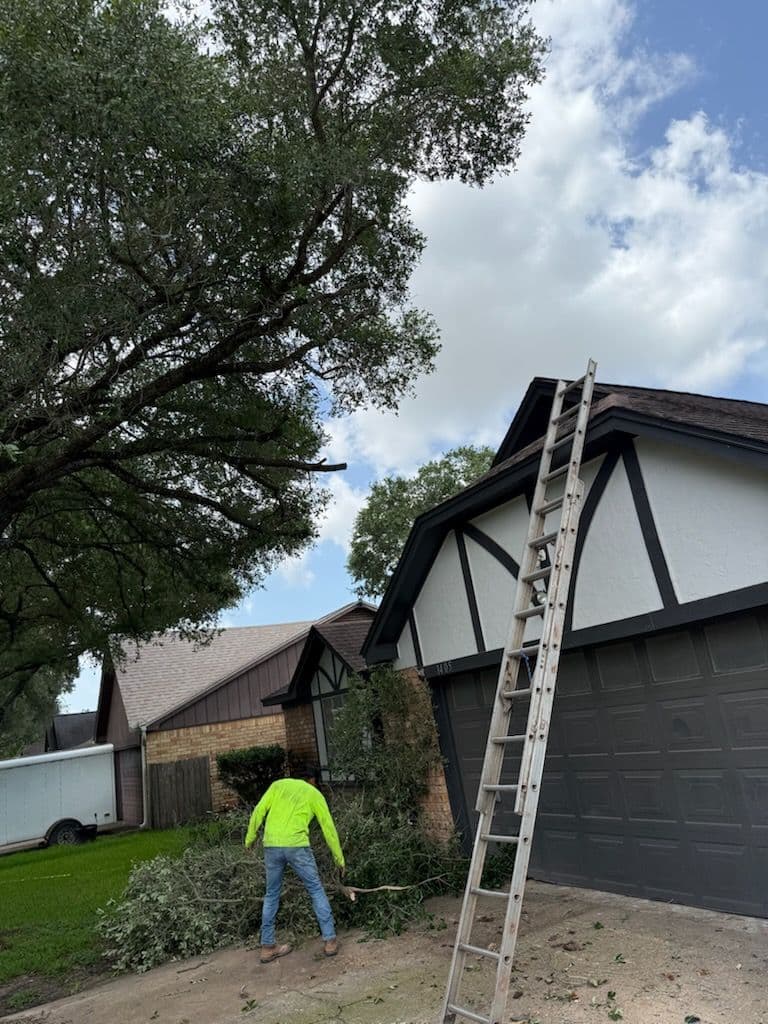 Gallery photos for Expert Roof Clearance Service in Katy: Image #1