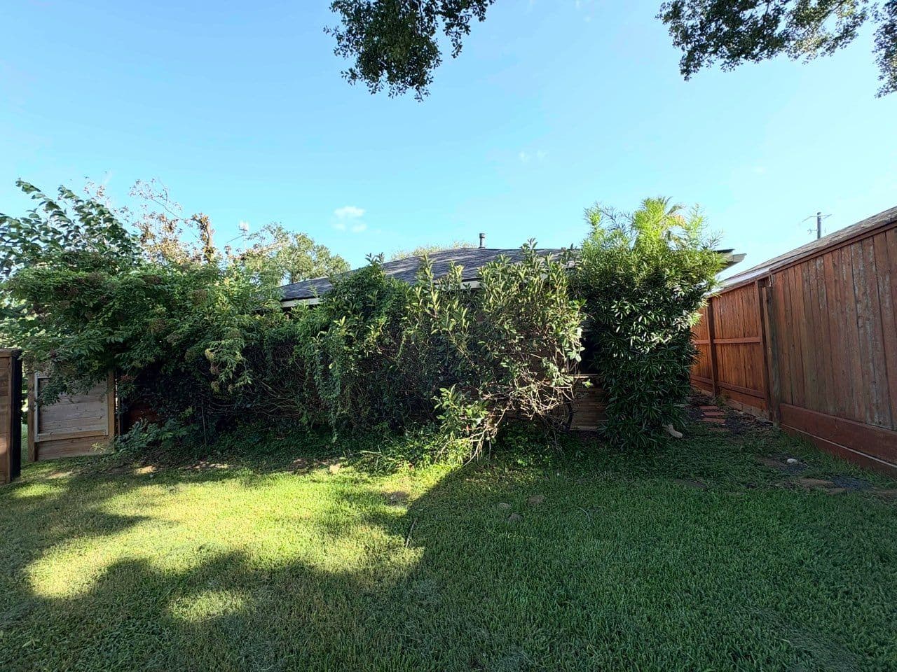 Houston Home Yard Transformed by Expertise image