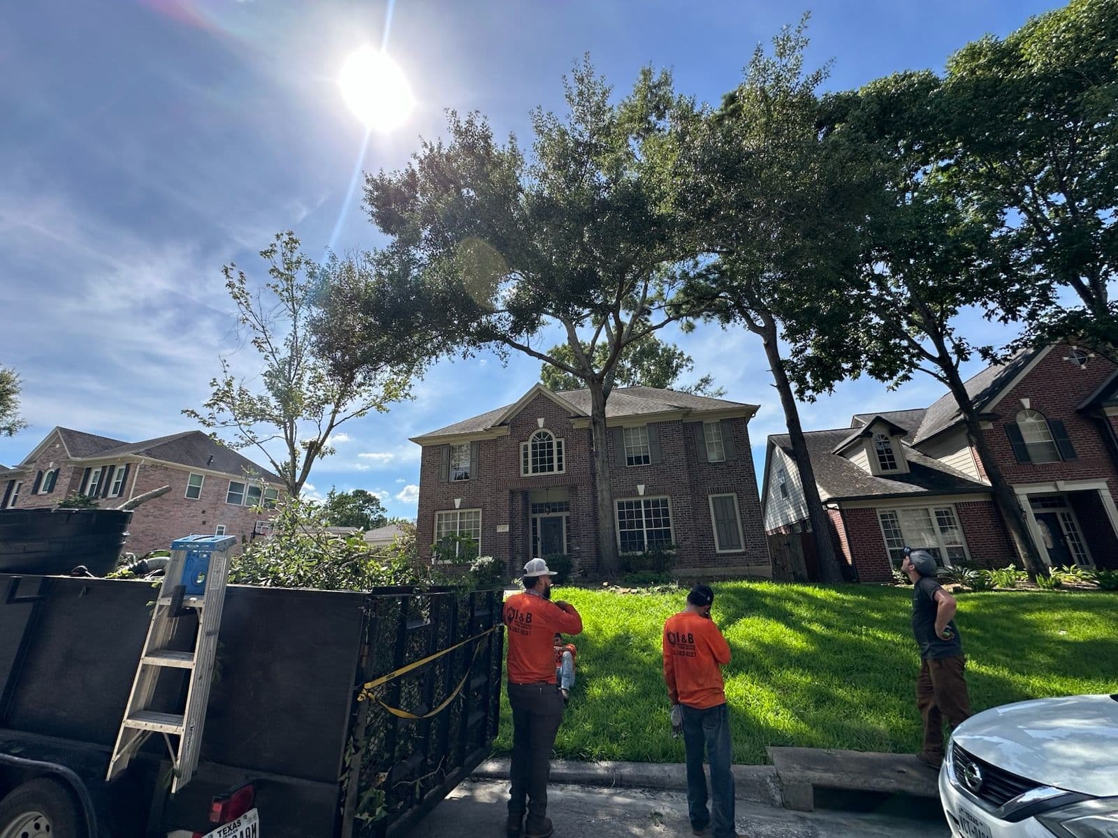 Skilled Oak Tree Trimming in Spring TX image