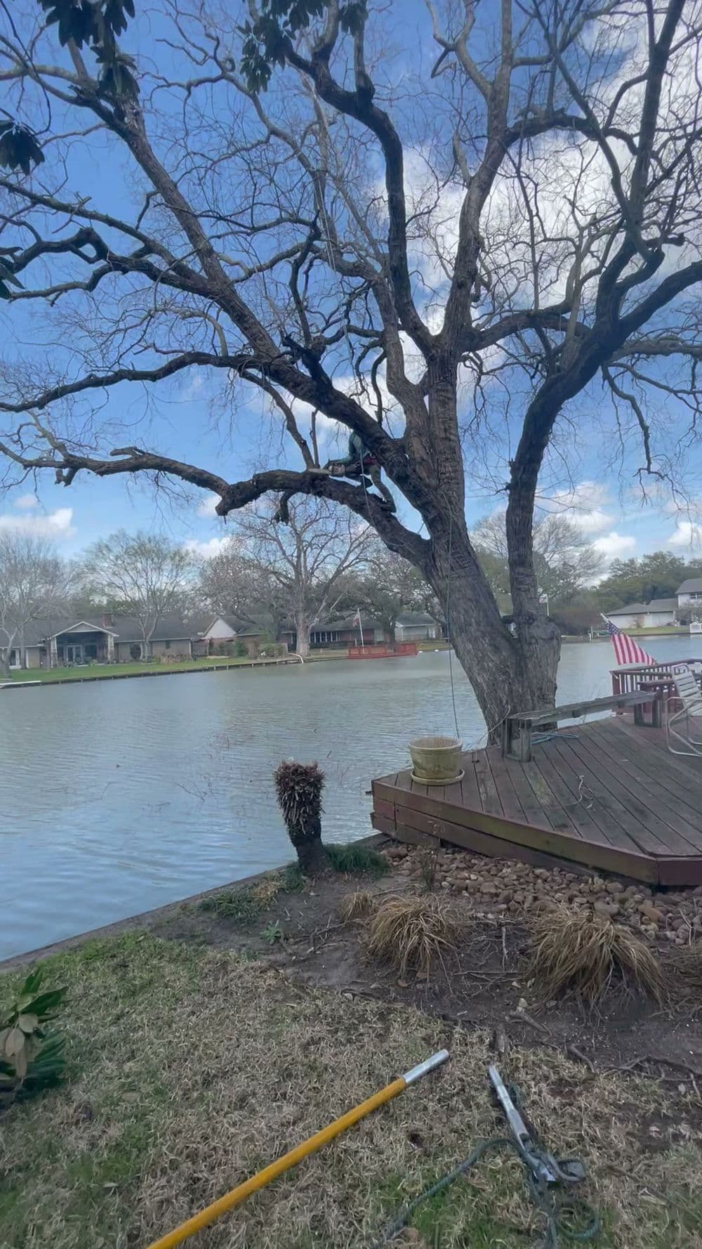Lakeside scene with a bare tree, wooden deck, and calm water under a blue sky.