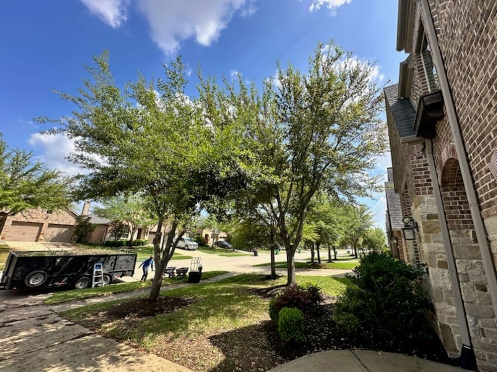 Residential neighborhood with green trees and a glimpse of a parked trailer on the street.