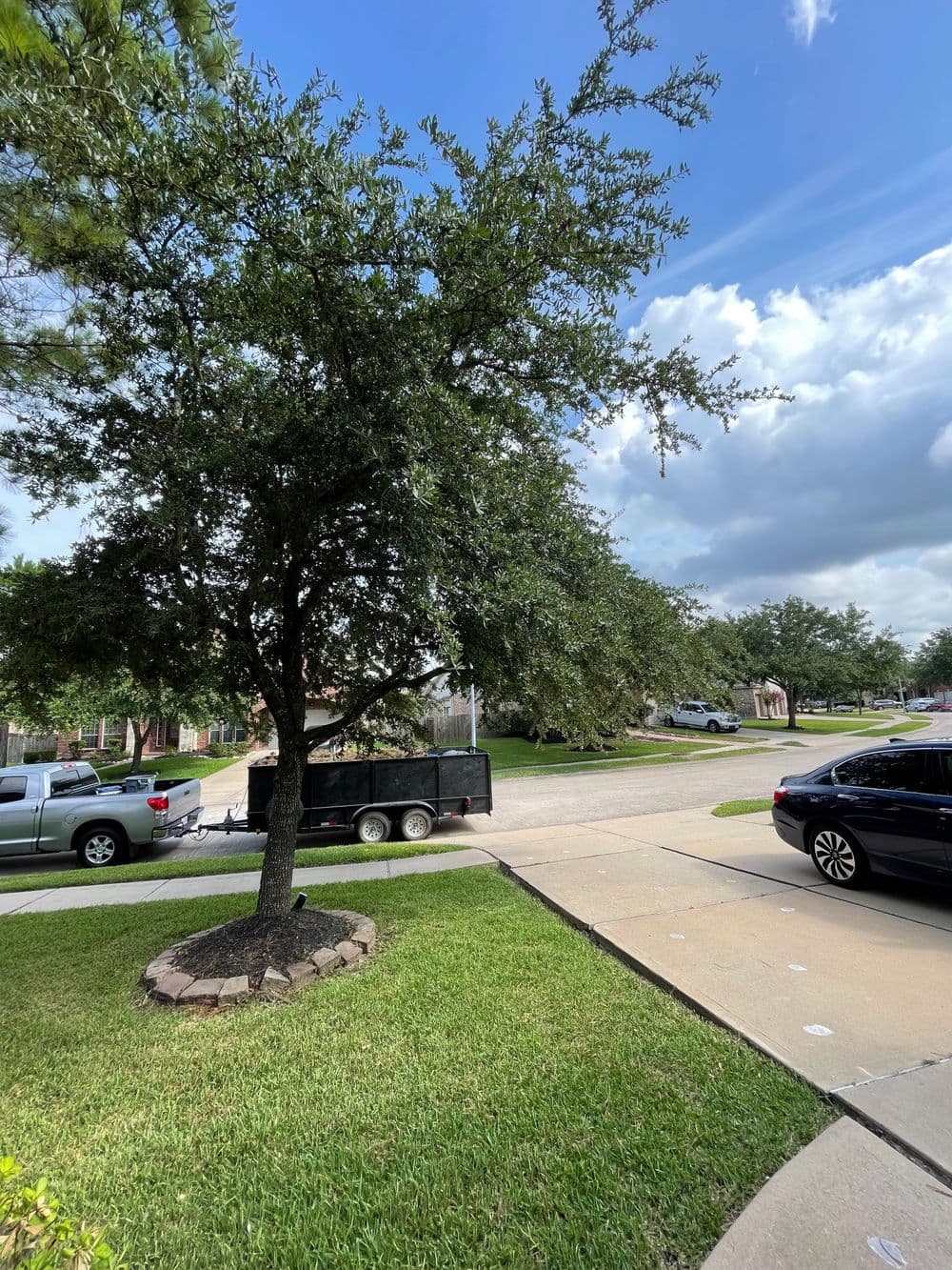 Tree in front yard with parked vehicles and trailer on a sunny day.