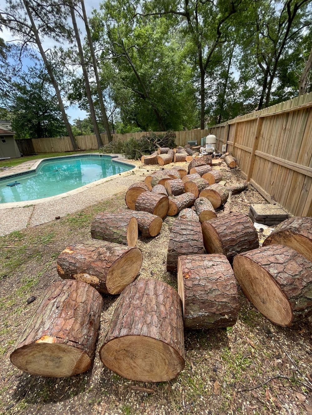 Cut logs beside a swimming pool in a backyard with trees and a wooden fence.