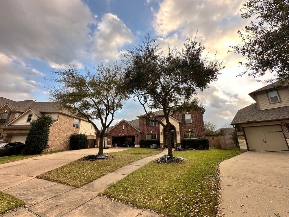 Residential neighborhood with two trees, a brick house, and a paved driveway on a cloudy day.