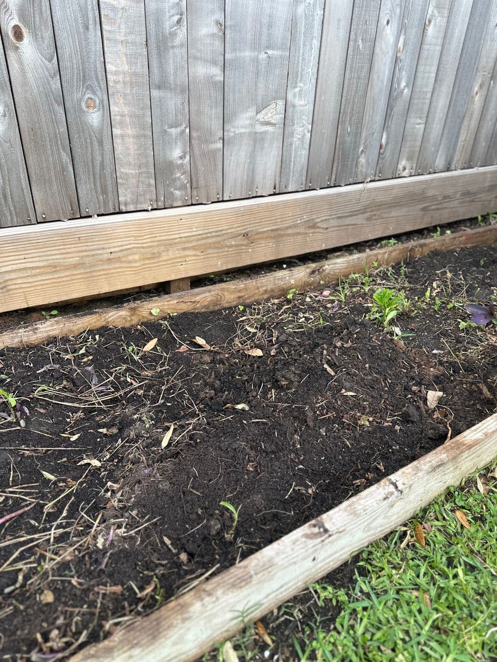 Vegetable garden bed with dark soil and wooden fence in the background. Ideal for planting.