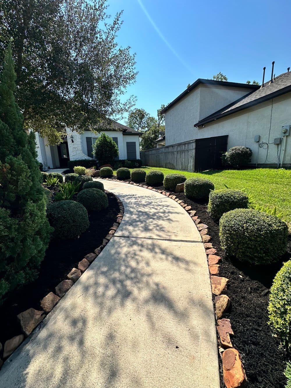 Curved walkway lined with rounded shrubs leading to a charming home under clear blue skies.