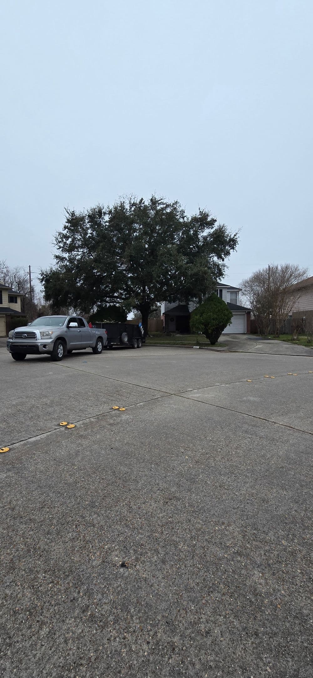 Gray vehicles parked near a house under a large tree on a cloudy day.