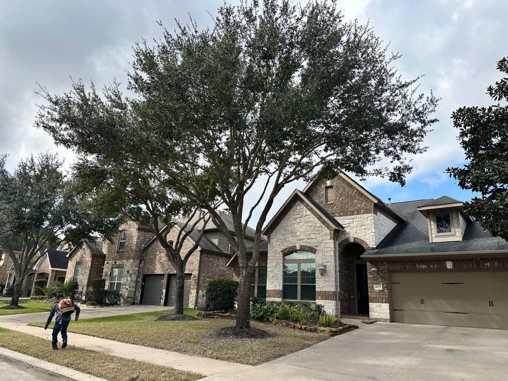 Charming suburban home with stone accents and tall trees in a peaceful neighborhood.