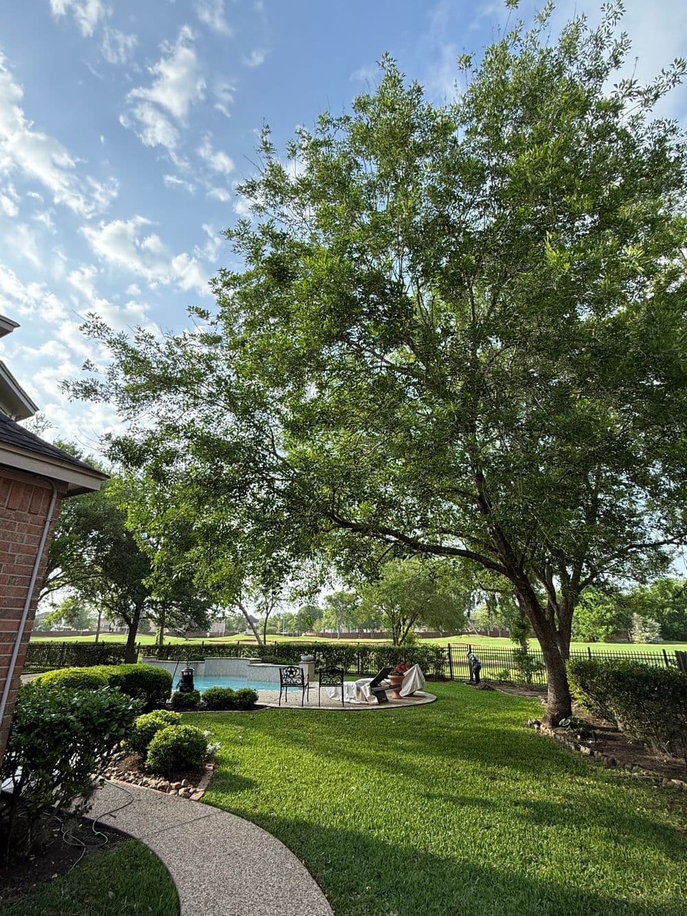 Lush backyard with a pool, mature trees, and a scenic view of a lake under a blue sky.