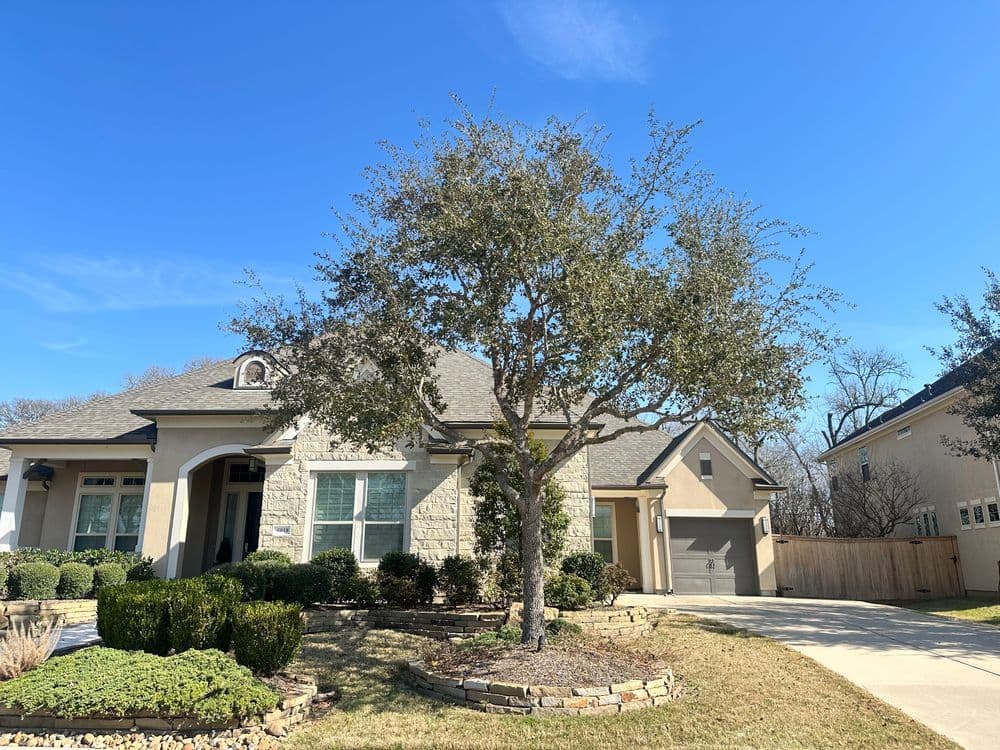 Beautiful modern house with stone facade, landscaped yard, and large tree under a blue sky.