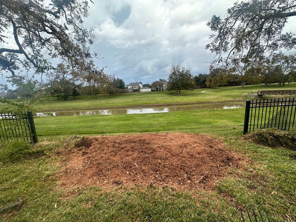 View of a manicured lawn with a pond and cloudy sky, framed by trees and a fence.