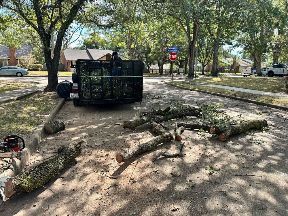 Tree removal service with cut logs on the street and worker loading debris onto a trailer.