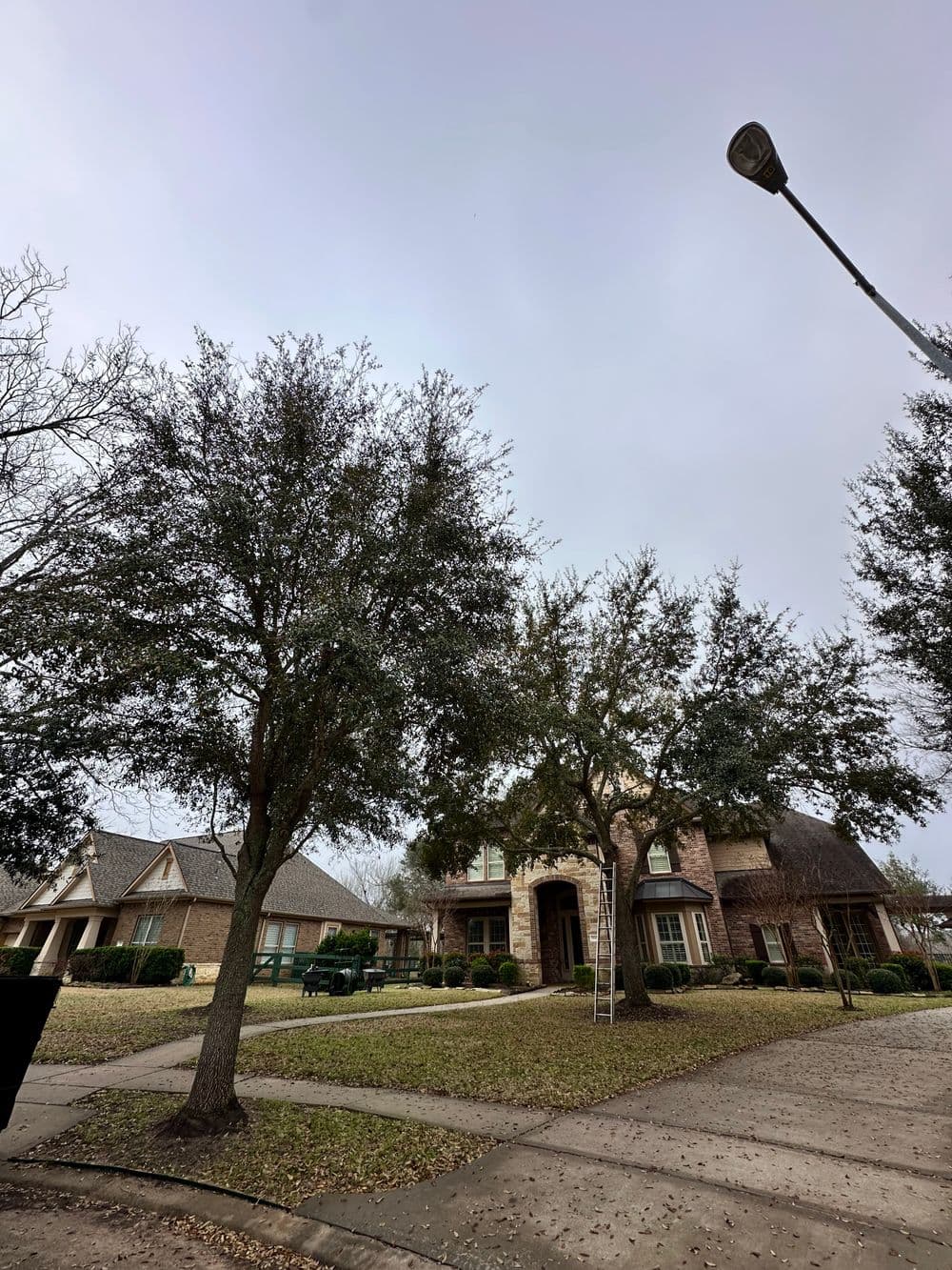 Brick house with landscaped yard and trees, under cloudy sky, in residential neighborhood.