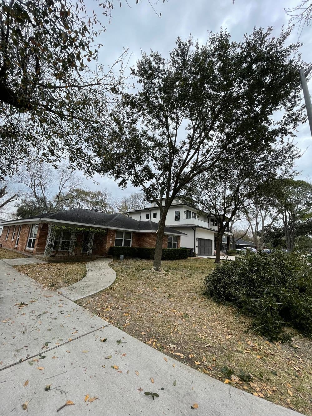 Modern two-story home with large trees in a landscaped yard and cloudy sky.