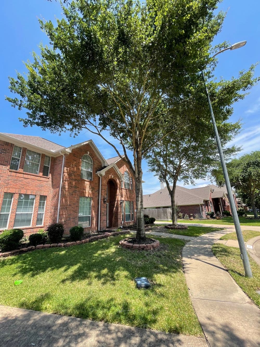 Brick house with lush landscaping, tall trees, and a clear blue sky on a sunny day.