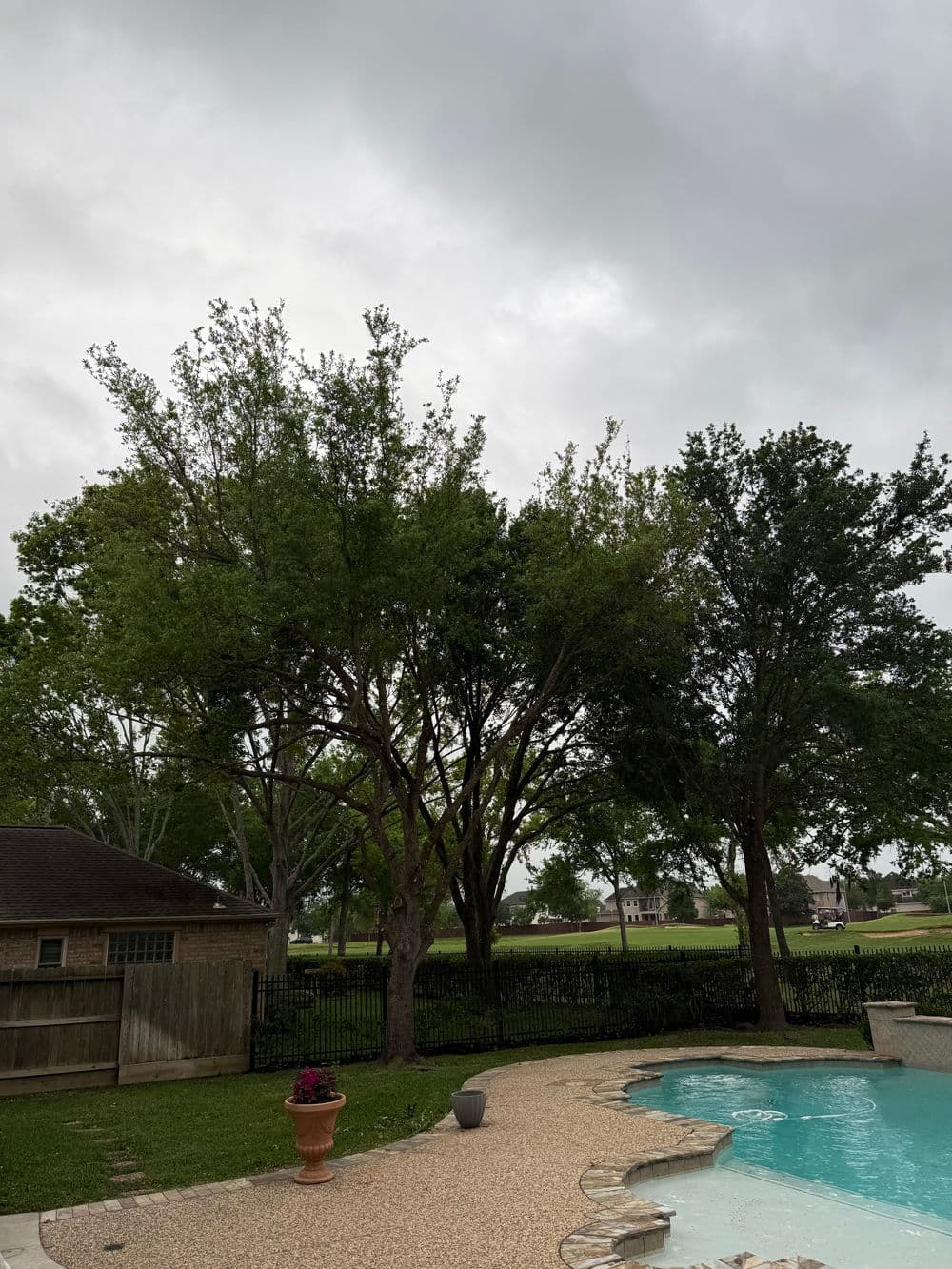 Overcast sky above a backyard with a pool, trees, and a fenced area.
