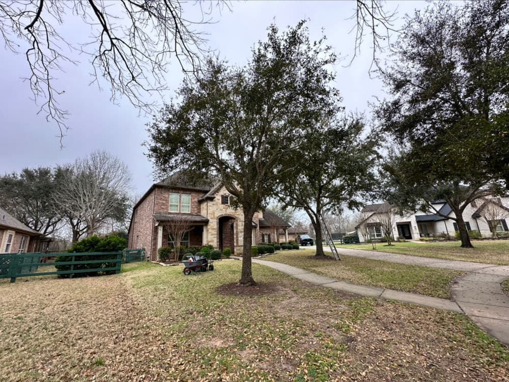 Two-story brick home surrounded by trees and grassy lawns in a residential neighborhood.