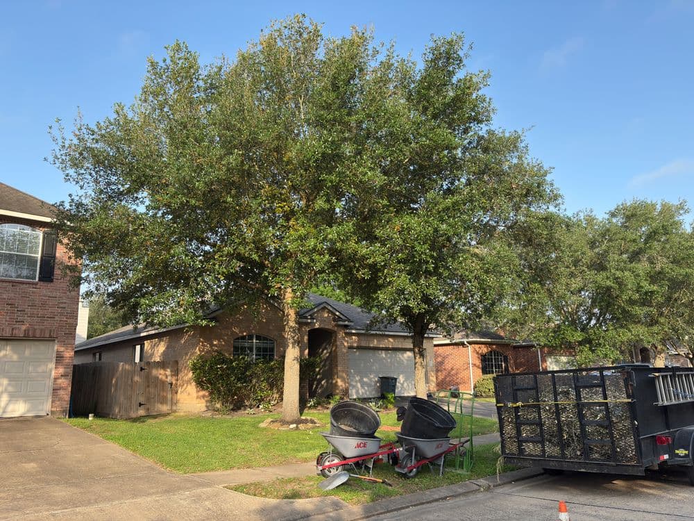 Residential home with large tree, wheelbarrow, and dumpster on a sunny day.
