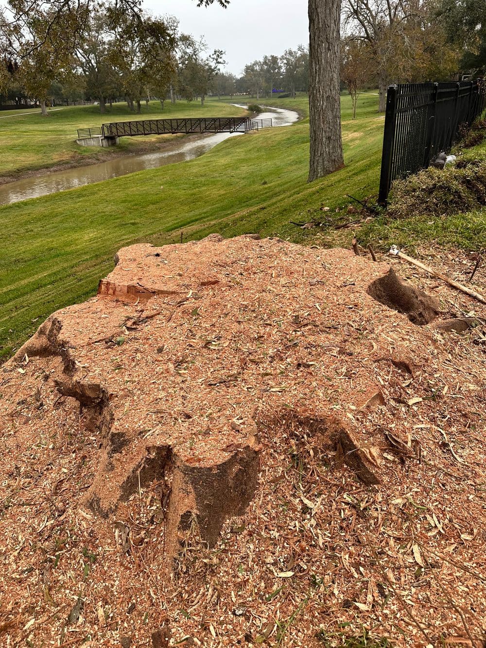 Tree stump on a grassy area beside a winding creek and wooden bridge, amidst a cloudy sky.