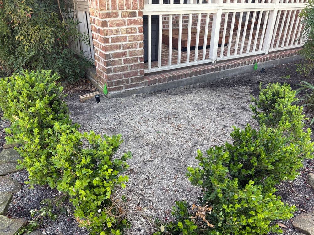 Garden area with freshly cleared soil surrounded by manicured boxwood shrubs.