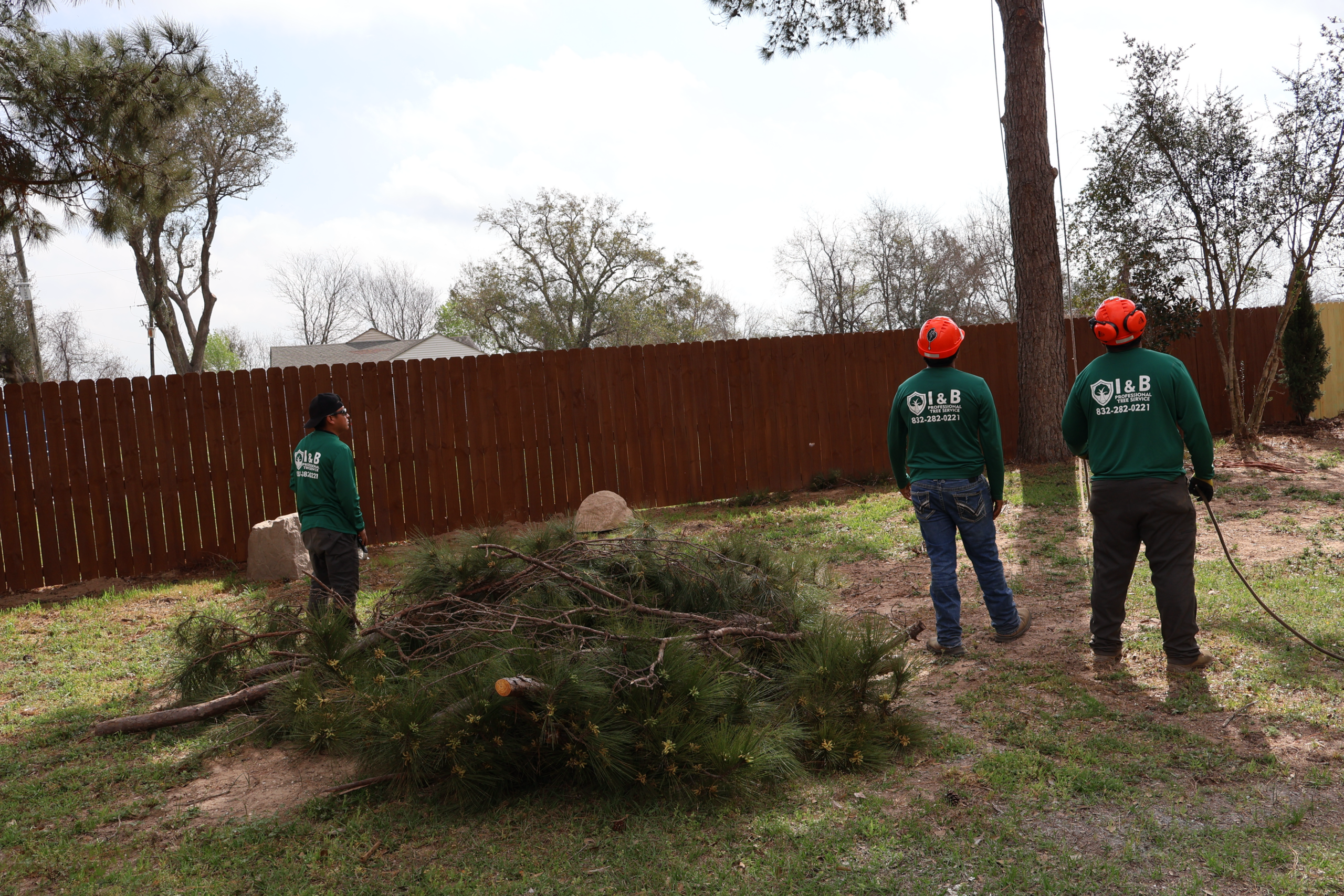 I&B Professional Tree Service crew clearing tree debris from a residential backyard in Katy, TX
