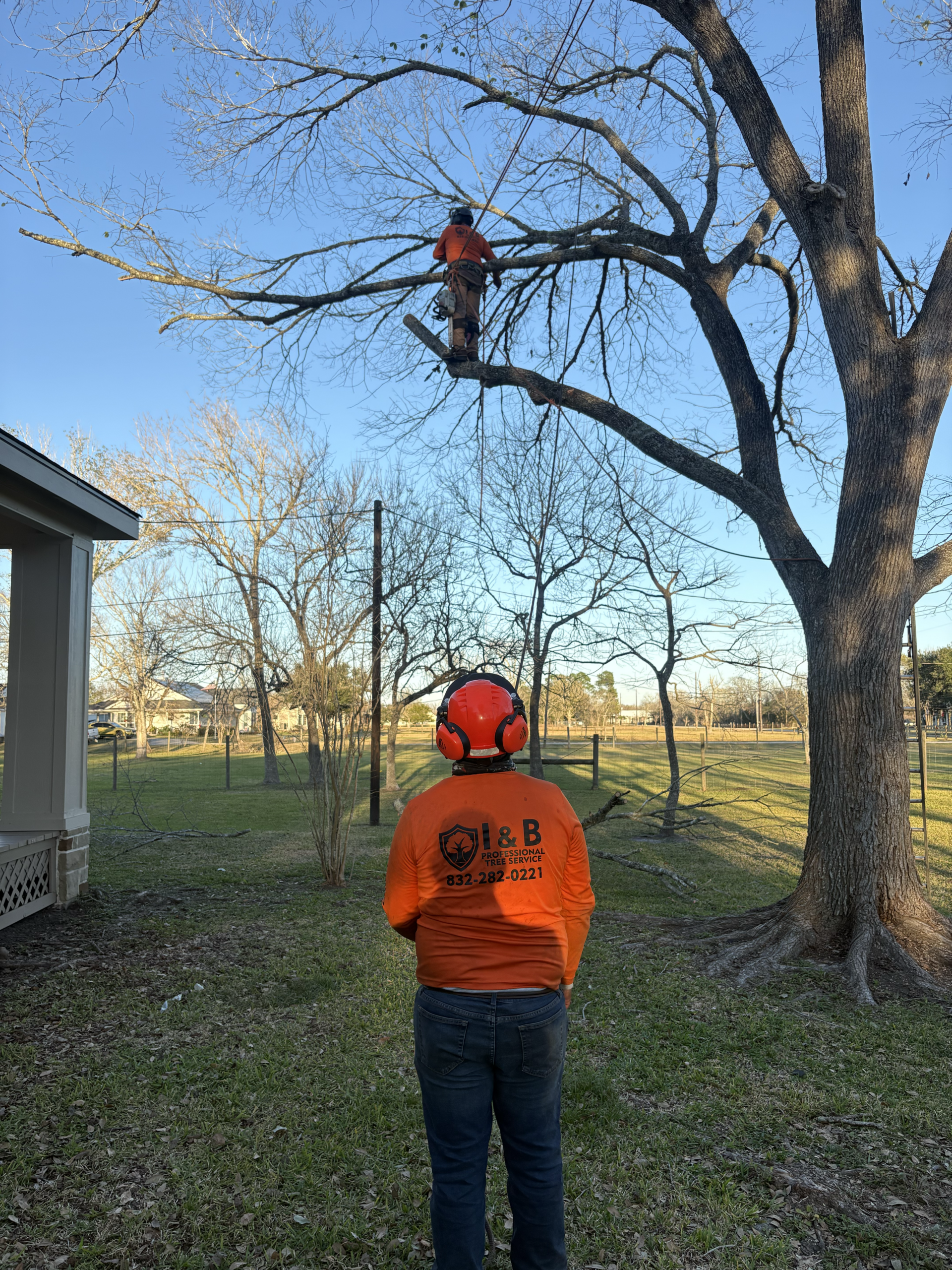 I&B Professional Tree Service certified climber performing high-canopy work in Sugar Land, TX