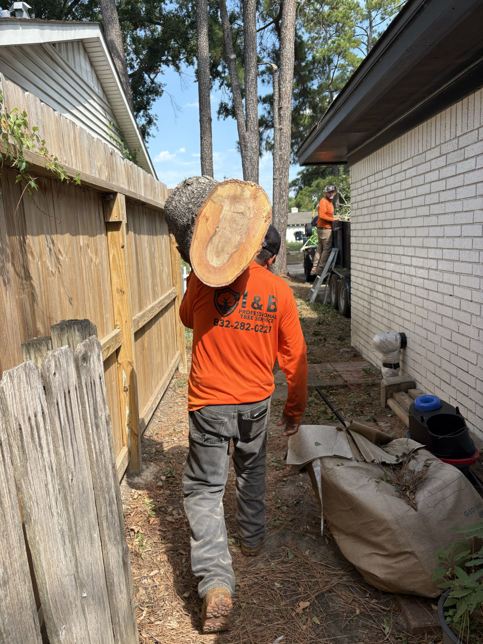 Large diameter log from a mature tree removal completed by I&B Professional Tree Service in Katy, TX