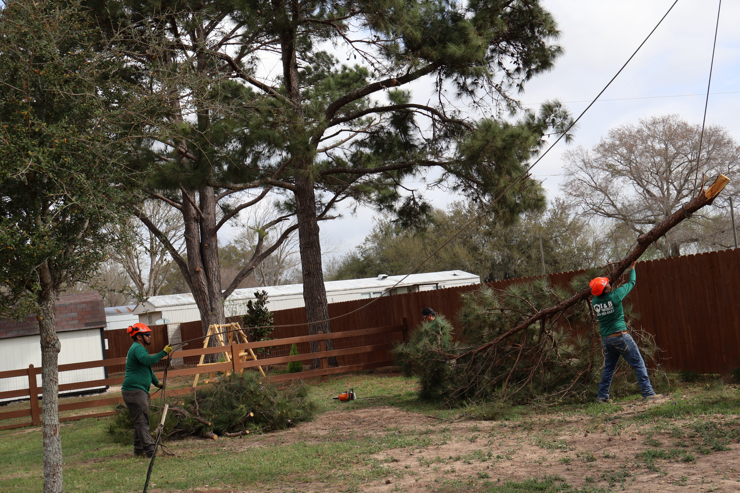 Storm damage tree removal in Sugar Land, TX by I&B Professional Tree Service