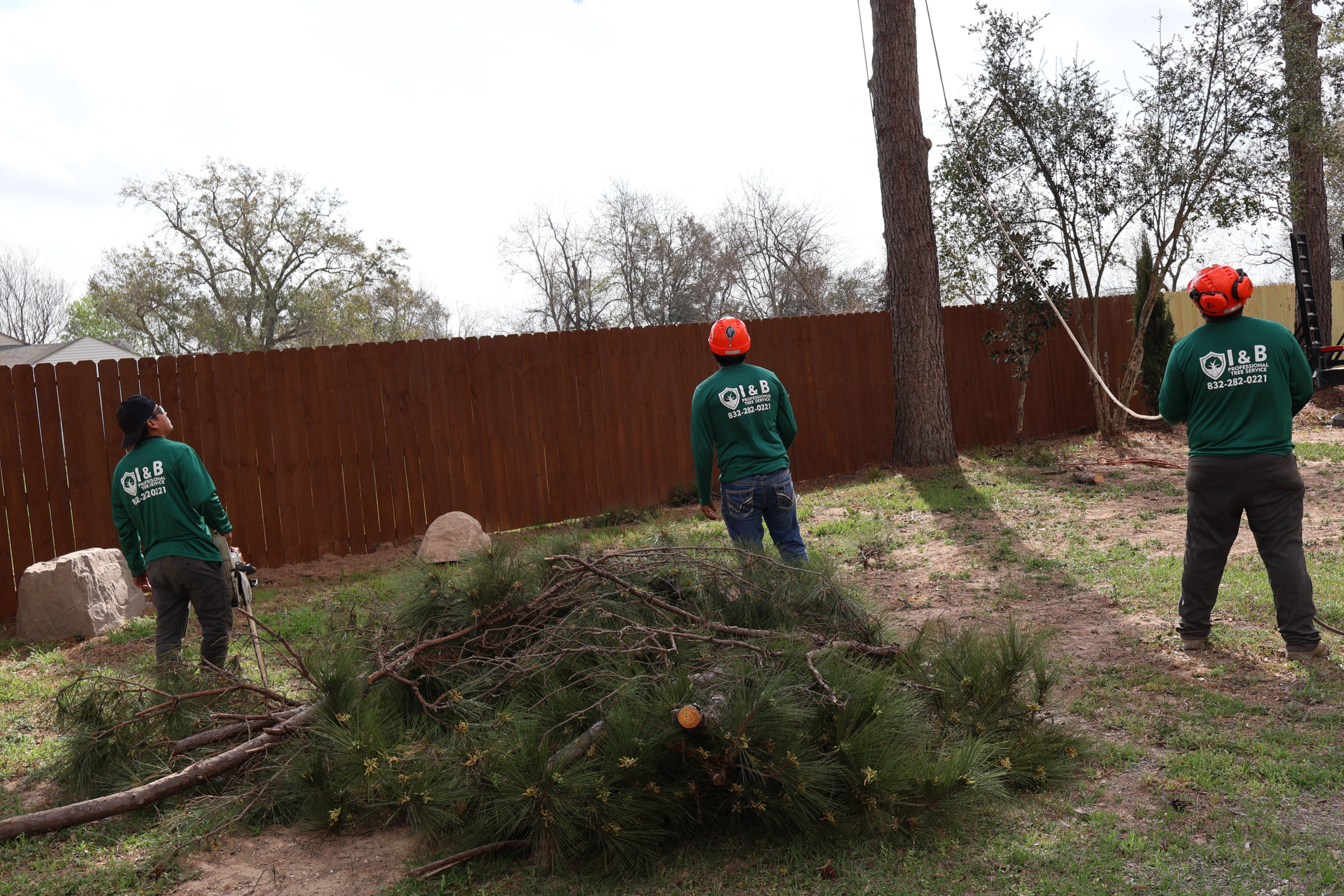 I&B Professional Tree Service crew completing full site cleanup after tree work in Sugar Land, TX
